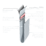 Конверты KraftMail® J/6 320мм × 450мм из крафт бумаги с защитной воздушной подушкой — изображение 5